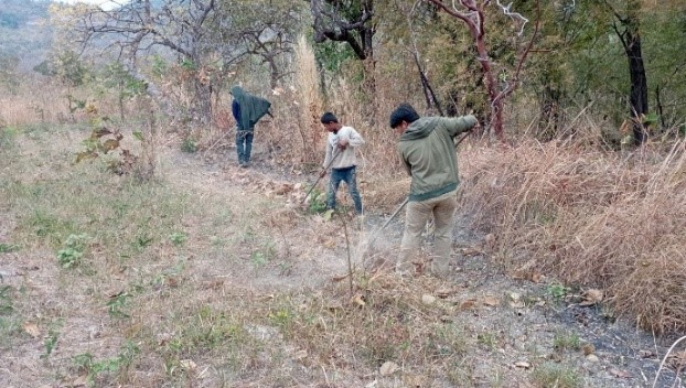 Rehabilitation Project of forestry